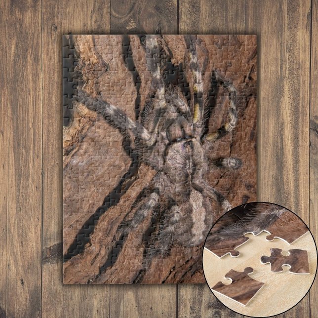 Puzzle Tarantula Ornamental de la India (Indian Ornamental Tarantula Bark Jigsaw Puzzle)