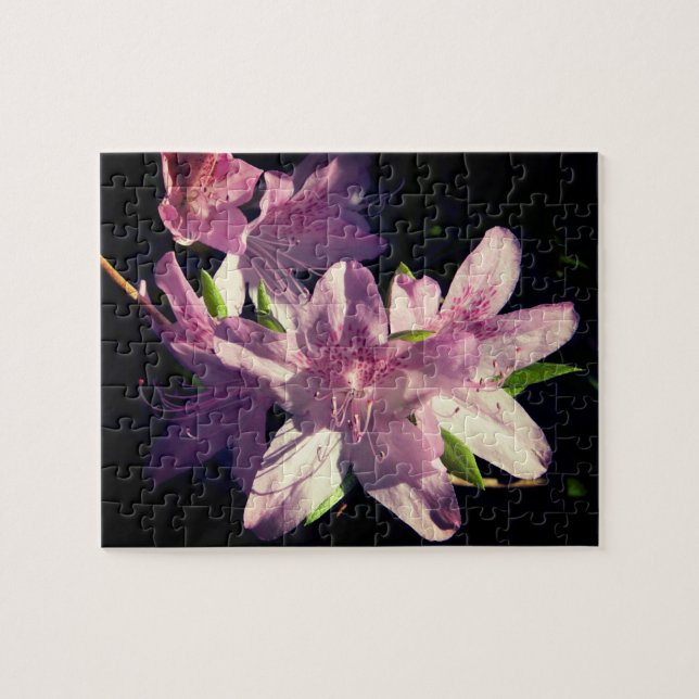 Puzzle Tarde Azaleas (Horizontal)