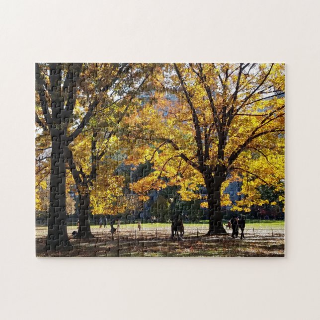 Puzzle Tarde de de otoño en Central Park (Horizontal)