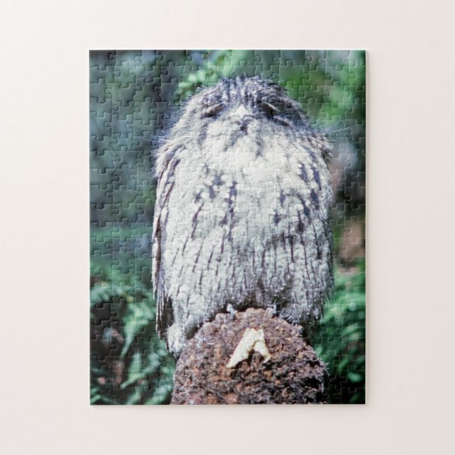 Puzzle Tawny Frogmouth, Tasmania (Australia) (Vertical)