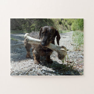 Puzzle Teckel