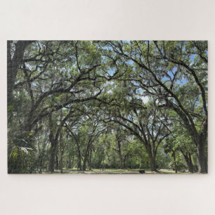 Puzzle Tejido de encino de Southern Live