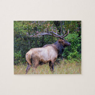 Puzzle Temporada de caza - Alce toro - 8x10