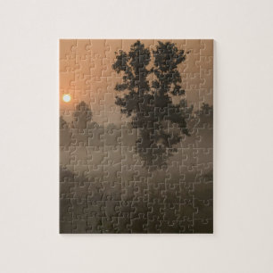 Puzzle Temprano en la mañana, sol naciente y niebla en el