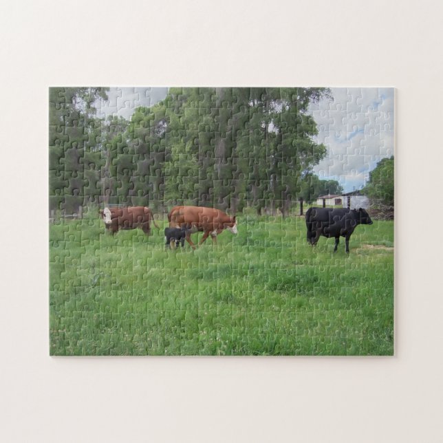 Puzzle Terneros y vacas en pastoreo (Horizontal)