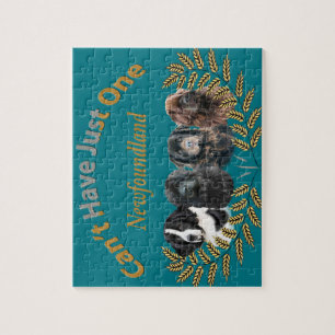 Puzzle Terranova no puede tener apenas uno