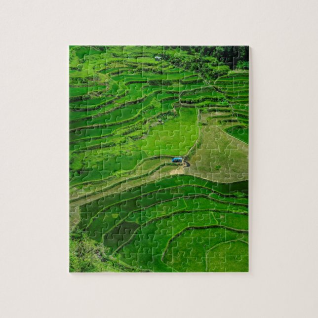 Puzzle Terrazas de arroz verdes, Filipinas (Vertical)