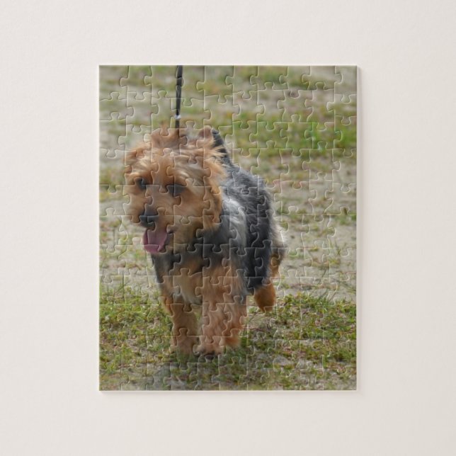 Puzzle Terrier australiano lindo (Vertical)