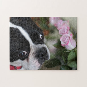 Puzzle Terrier de Boston