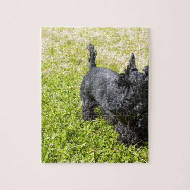 Puzzle Terrier escocés (Vertical)