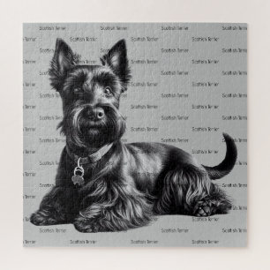 Puzzle Terrier escocés en