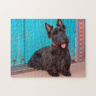 Puzzle Terrier escocés sentado junto a una puerta colorid