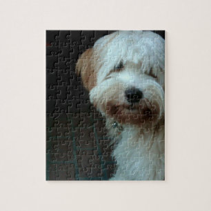Puzzle terrier tibetano 2