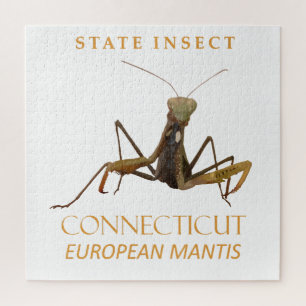 Puzzle Territorio de Connecticut Insecto La Mantis Europe