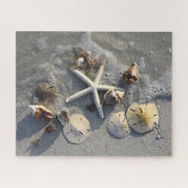 Puzzle Tesoros de la playa en marea baja, Florida