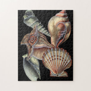 Puzzle Tesoros del mar