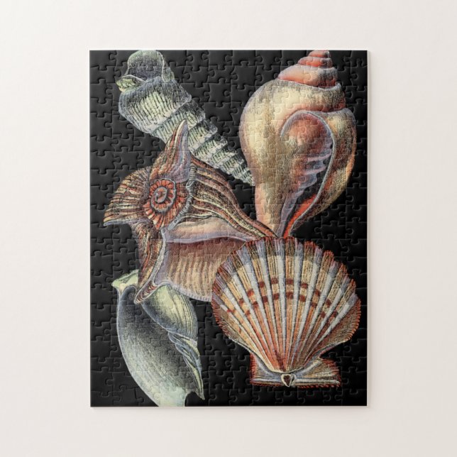 Puzzle Tesoros del mar (Vertical)