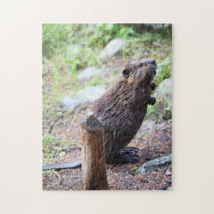 Puzzle Testigo