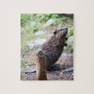 Puzzle Testigo