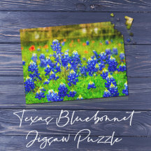 Texas Bluebonnet Field Rustic Elegtic