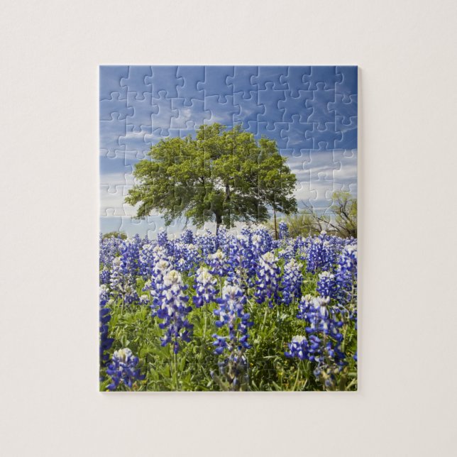 Puzzle Texas bluebonnets(lupinus texensis) y roble (Vertical)