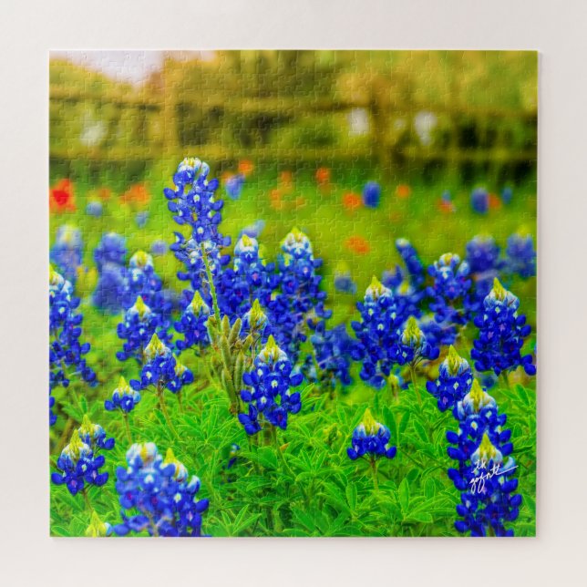 Puzzle Texas Bluebonnets Viajes por la naturaleza floral  (Horizontal)