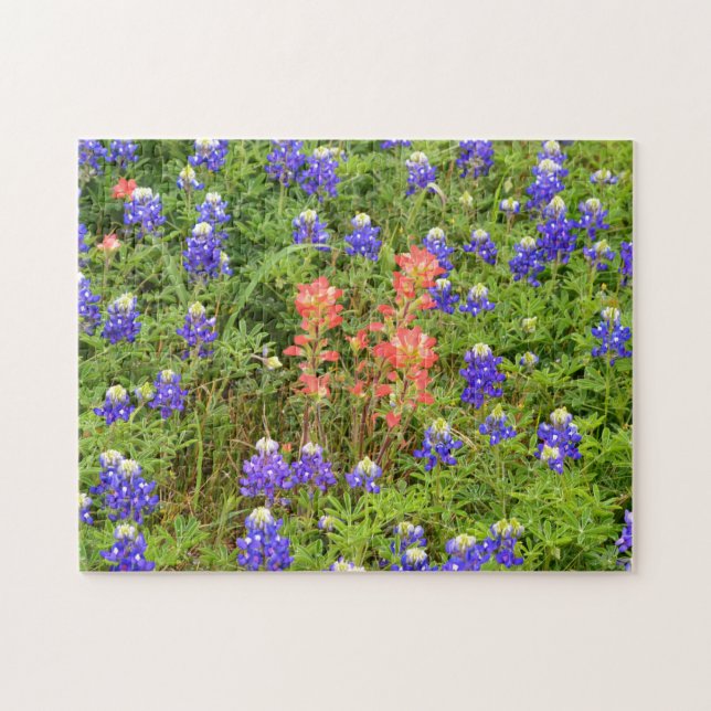 Puzzle Texas Bluebonnets y Flor de pincel indio (Horizontal)