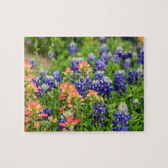 Puzzle Texas Bluebonnets y pinceles rojos Flores silvestr (Horizontal)