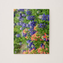 Texas Bluebonnets y pinceles rojos Flores silvestr