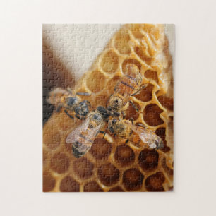 Puzzle Texas Honeybees   Honeycomb Hive