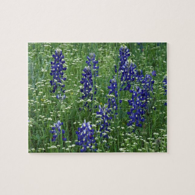 Puzzle Texas, Lago Buchanan. Texas Bluebonnet y silvestre (Horizontal)