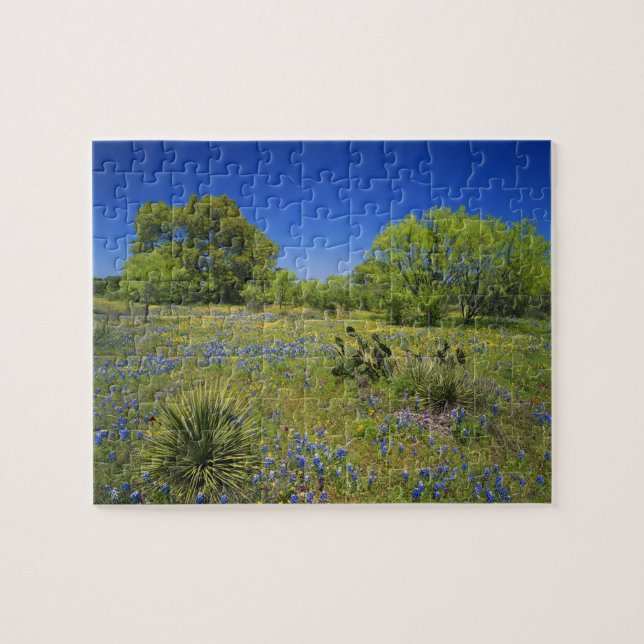 Puzzle Texas, Texas Hill Country, Baja vejiga, (Horizontal)