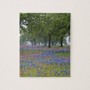 Puzzle Texas, Texas Hill Country, pincel de Texas y