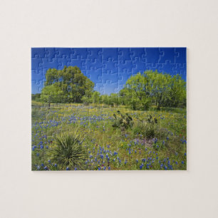 Puzzle Texas, Texas Hill Country, vejiga baja,