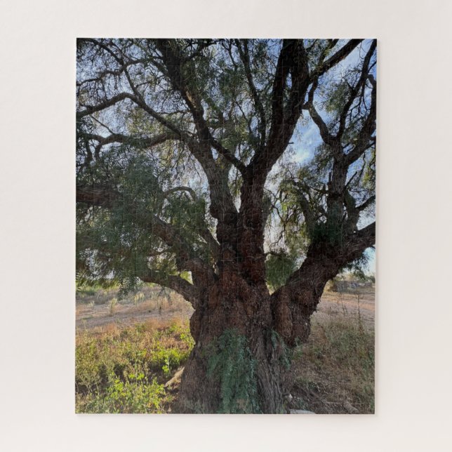 Puzzle The Majestic Guardian: Árbol de Pepper de Californ (Vertical)