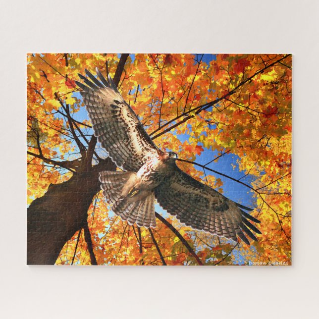 Puzzle "The Sunday Hawk" (Horizontal)