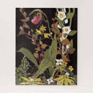 Puzzle Thomson - Orchids, Parque Algonquin