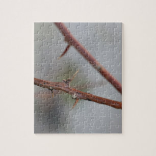 Puzzle Thorns