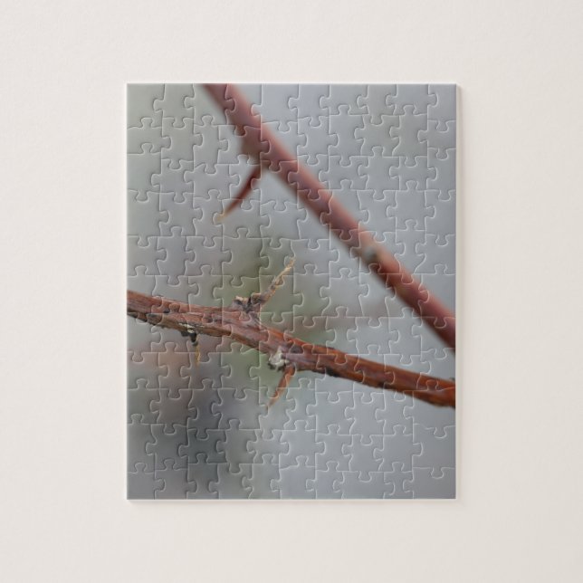 Puzzle Thorns (Vertical)