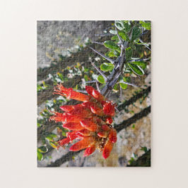 Puzzle Thorns & Fire Blossoms Puzzle, 11" x 14", 252 pcs