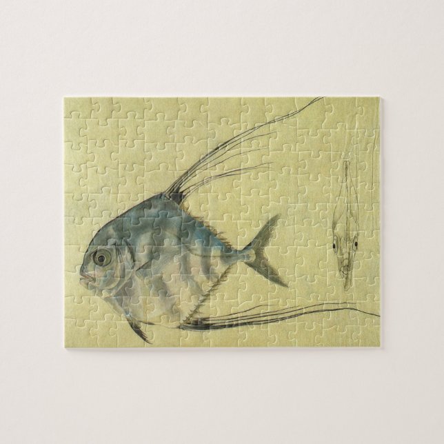 Puzzle Threadfin Trevally, pez pano africano (Horizontal)