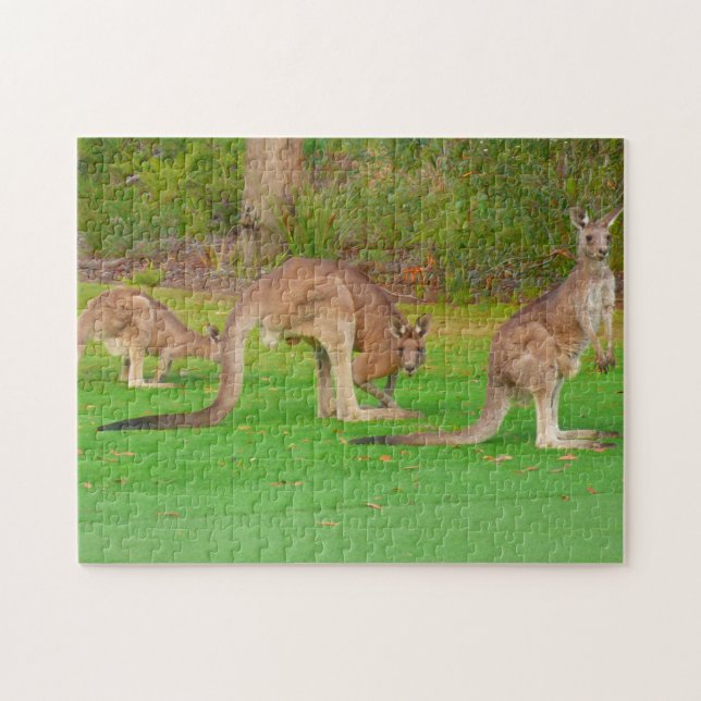 Puzzle three kangaroos (Horizontal)