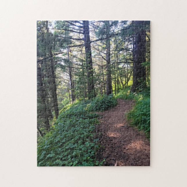 Puzzle Thunder Rock Cove Trail, Samuel H Boardman, Oregón (Vertical)