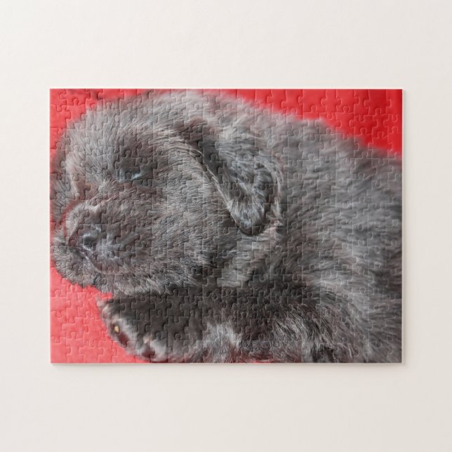 Puzzle Tibetano Mastiff Dog Jigsaws. (Horizontal)