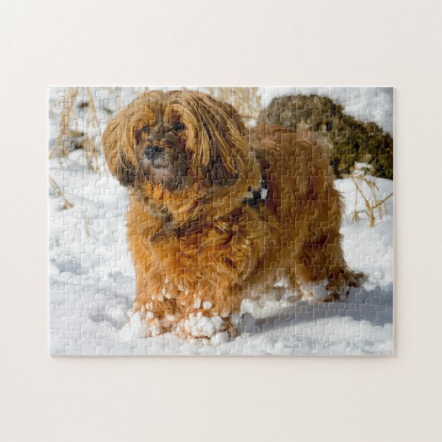 Puzzle Tibetano Terrier Dog Jigsaws. (Horizontal)