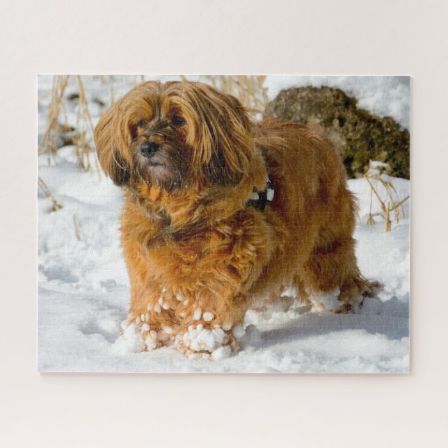 Puzzle Tibetano Terrier Dog Jigsaws. (Horizontal)