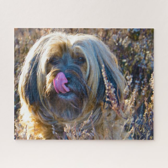 Puzzle Tibetano Terrier Dog Jigsaws. (Horizontal)