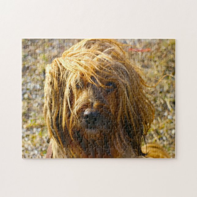Puzzle Tibetano Terrier Dog Jigsaws. (Horizontal)