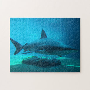 Puzzle Tiburón Dusky (Carcharhinus Obscurus), Ushaka
