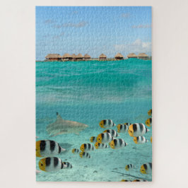 Puzzle Tiburón que persigue pescados en la laguna